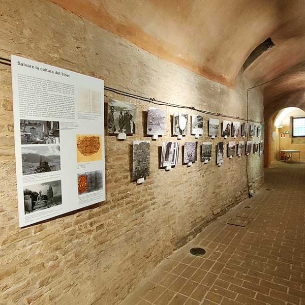 zampaloni-gallery-allestimenti-005